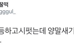 시우민이 간만에 욕심냈는데 눈치없게