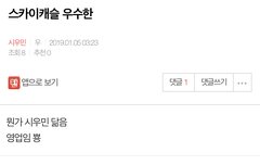 밑에 스카이캐슬 어그로글 여기서봐(캡쳐O)