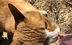 이삐들 들어와~~