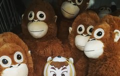 이 중국팬분한테 못당하게따..(시우민)