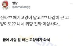 엑소엘 취향 진짜 이상하다(시우민)