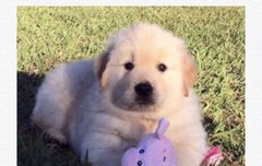 송민호 사진좀 주라 ㅠㅠ