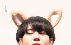 그냥 귀여워서 올리는 겸둥이 짤