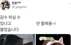 스카이캐슬 시우민편