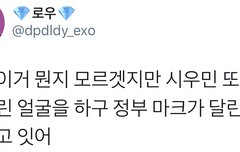 정부에서 모 아이돌을 따로 봐준다는 소문이(시우민)