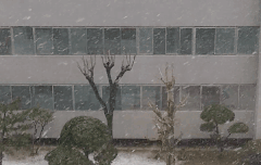 태태가 선물같은 하루