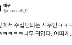 최애 한정 주접맨되는 시우민이래