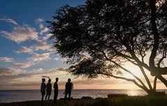 노트북 배경화면으로 쓸 사진 뿌려조ㅜㅜ