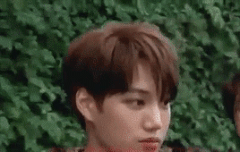 일드 봄이 왔다 촬영후 입국하던 엑소 카이 종인 움짤