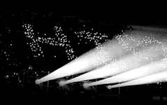 라이트들 같이 존버하자