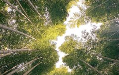 옵티황의 갬성인별