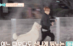 아이콘 일코? 사진 줭