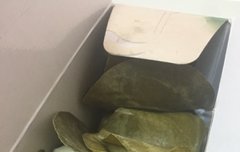 이삐들ㅜㅜㅜㅠ