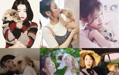 아이유랑 댕댕이 모음