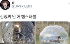 짹에 시우민 새집 뭐야?