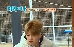 사진 좀 기부해줘!!