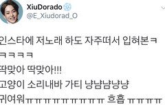 이거 시우민 솔로 맛보기 아니냐고