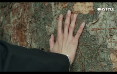 위너 중에서 손