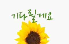 꼬밍이밖에 없꼬☺❤