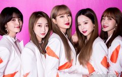 모델 프레스 기사사진