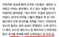 싯팃필드 다녀오신 기자님이 쓴글