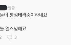 짹에서 서양수박 리뷰창 어그로