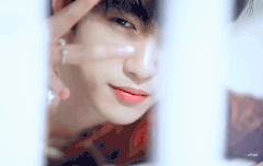 내일 사메그 마지막이네