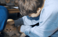 시우민과 고양이 투샷