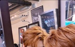 단체 인스타그램