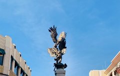 남친짤 장인 아이돌 추천.jpg