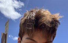 멤버들 다 인스타 올라오는데