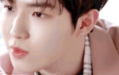 팬미팅때로 돌아가고싶다