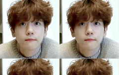 백현 ㄹㅇ 댕댕이 아니냐