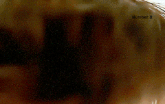 백현이 웃는거 ㅈㄴ 설렘