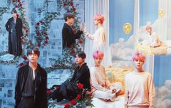 2019 페스타의 시작