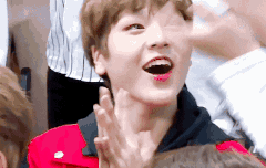 119 yes or no 영상