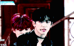 요한이 피디픽이라고 욕하는 사람 봐줘