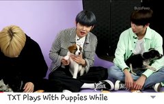 버즈피드 인터뷰