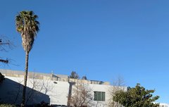 블랙핑크 제니 레전드짤