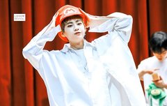 이진혁 비율 실존 가능?