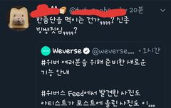 위버스 공지에 팬들은 분노했다 +