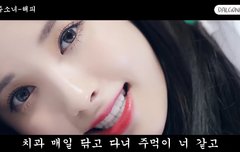 해피 들리는대로