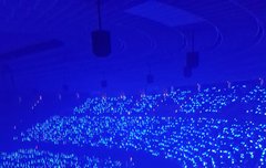 오늘 일투 사진임!!