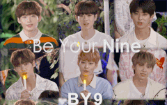 바이나인 보고가