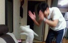 오늘 브이앱 뒷동네 이거래