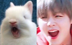 박지훈은 윙깅투투니까