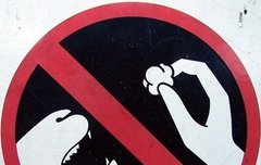 애들아 먹금하자