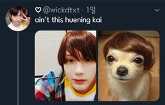 현기증나 남자신인상 언제발표ㅋㅋ