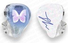 차준호 안목 미쳤네