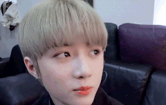 0811  티타임 움짤 +  팬아트